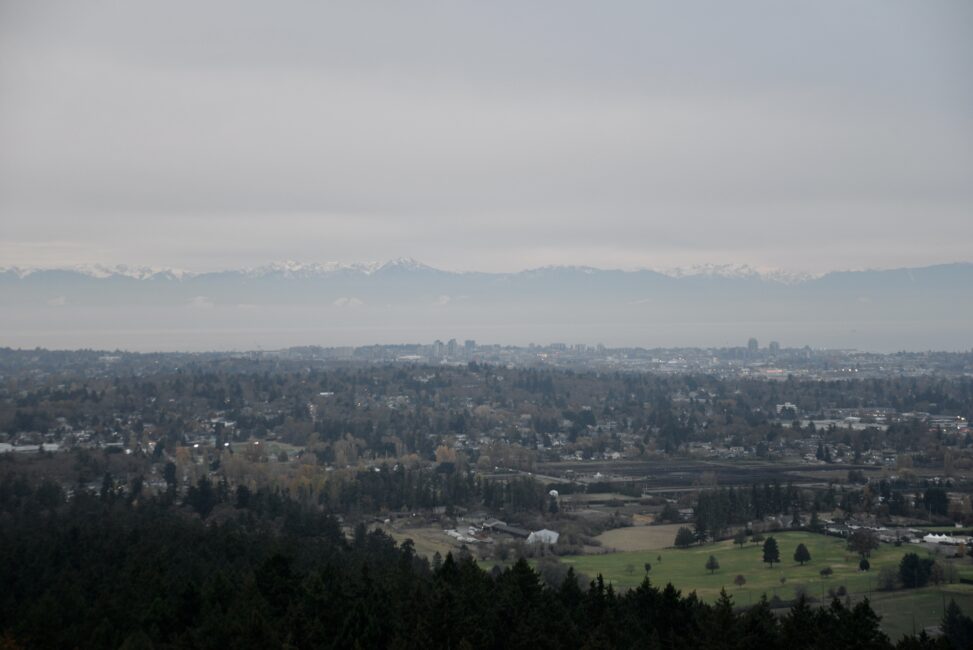 View from Mount Doug