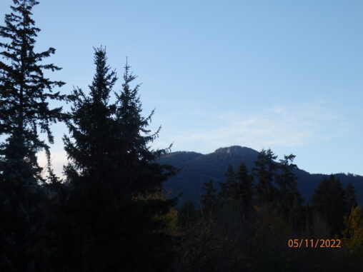 View of mountain near Duncan BC with a few trees in the front